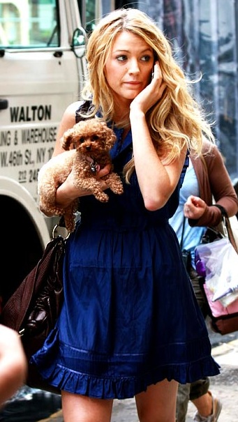 blake lively penny dog. Blake Lively and Penny,