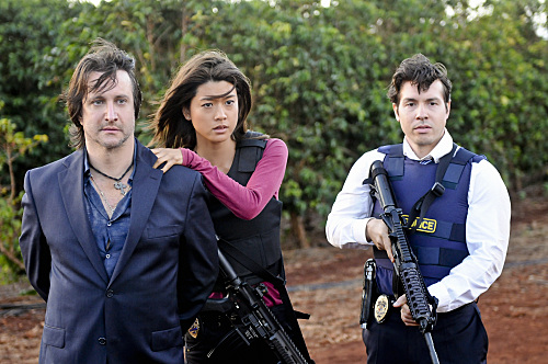 Bronson Pinchot guest stars on the 11 8 10 episode of Hawaii Five0