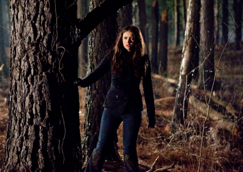 Elena Gilbert is the main character on The Vampire Diaries 