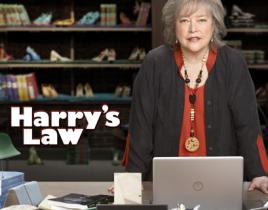 Jan 7, 2011. On TV Tonight. Camryn Manheim Set for NBC's HARRY'S LAW. Elvis, and the  following year she joined The cast of Ghost Whisperer.. Harry's Law is an  upcoming American legal comedy-drama created by Golden Globe.