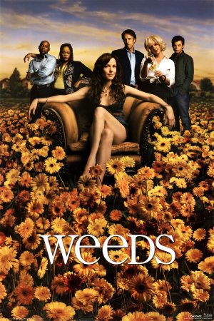 weeds season 1 poster. Weeds Poster